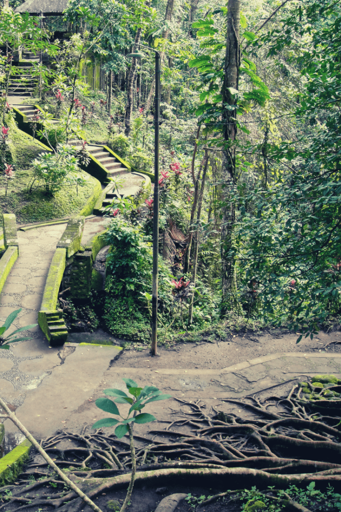 AMAZING GOA GAJAH BALI, (ELEPHANT CAVE) - TheNorthernBoy